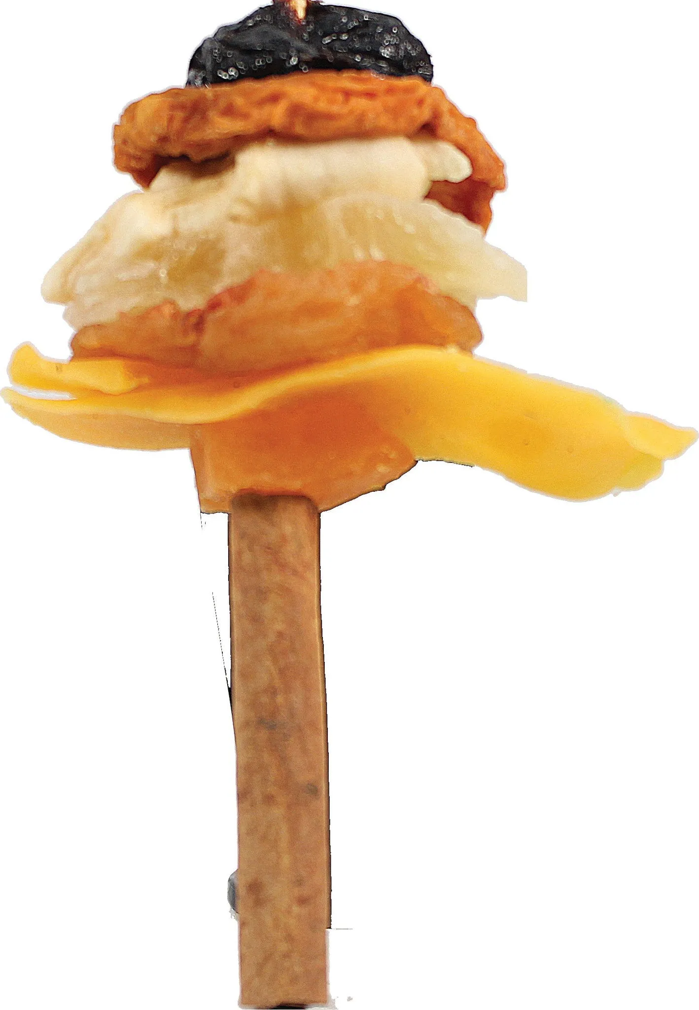 A&e Cage Company - Happy Beaks Fruit On Cinnamon Skewer Bird Treat