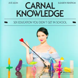 Carnal Knowledge: Sex Education You Didn't Get In School