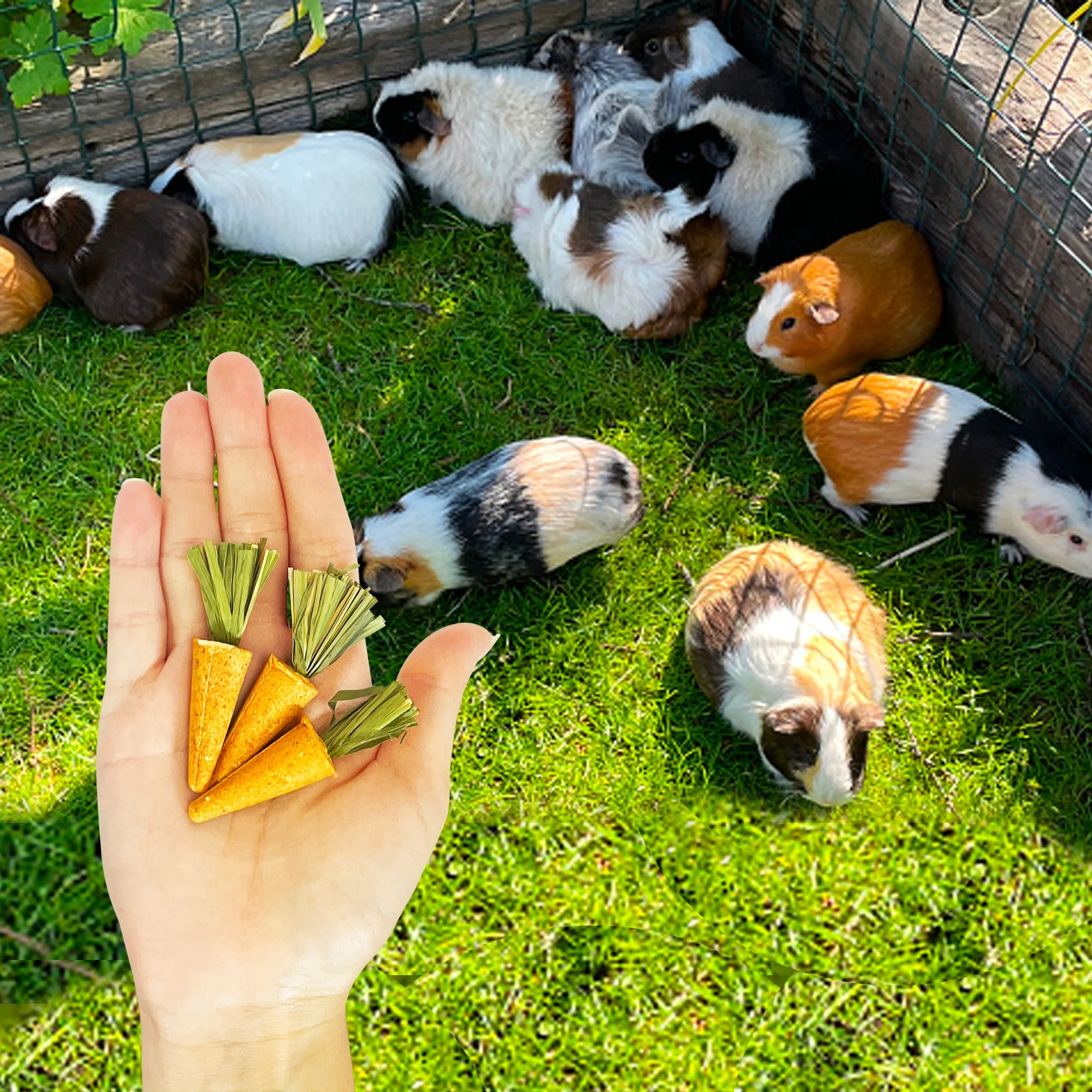 Carrot Minis