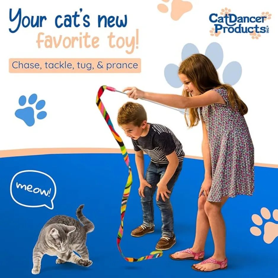 Cat Dancer Cat Charmer Cat Toy Assorted