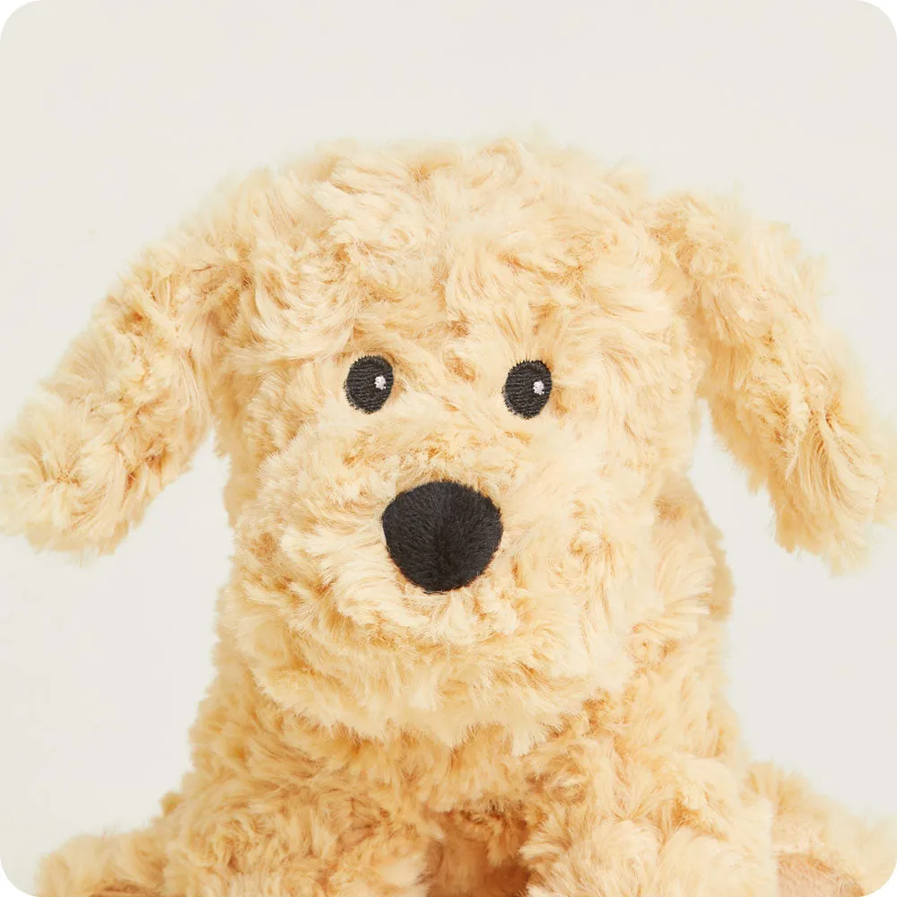 Golden Dog Warmies Junior