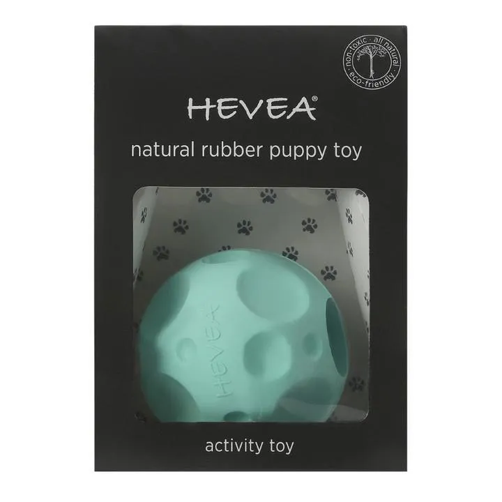 Hevea Dog Moon Ball Activity Toy - Pale Mint