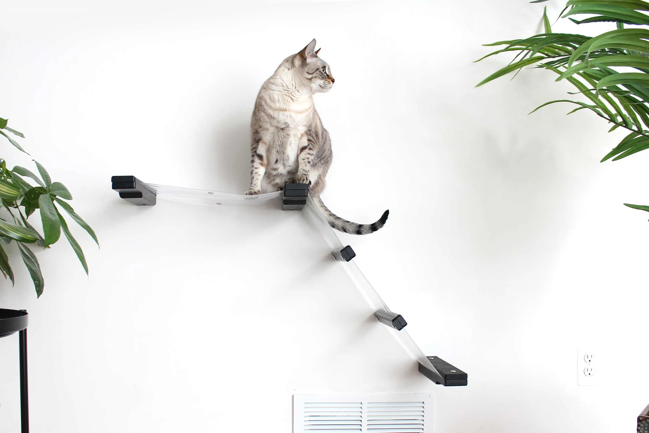 Invisible Lift: Cat Wall Ramp with Hammock Bed