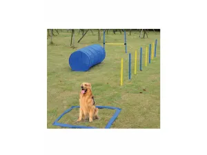 PAWISE  dog training set