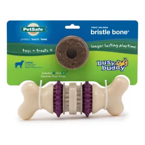 PetSafe Busy Buddy Bristle Bone Dog Toy, Large