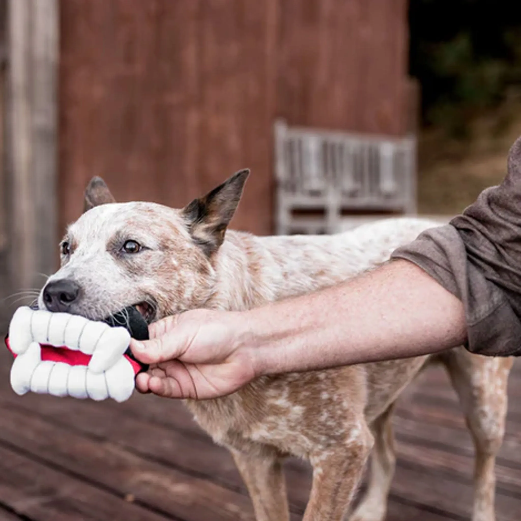 P.L.A.Y. Howling Haunts Barky's Bite Plush Dog Toy