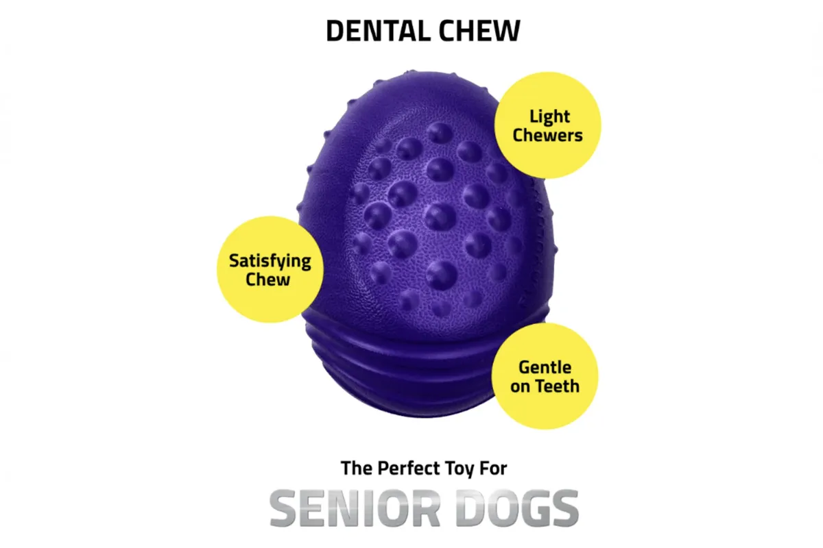 Playology "Silver" Dental Chew for Senior Dogs