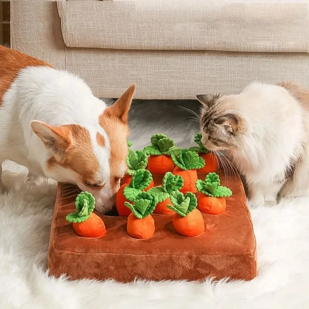 Plush Carrot Puzzle Mat