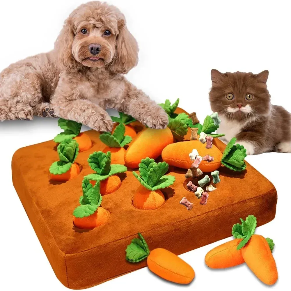 Plush Carrot Puzzle Mat