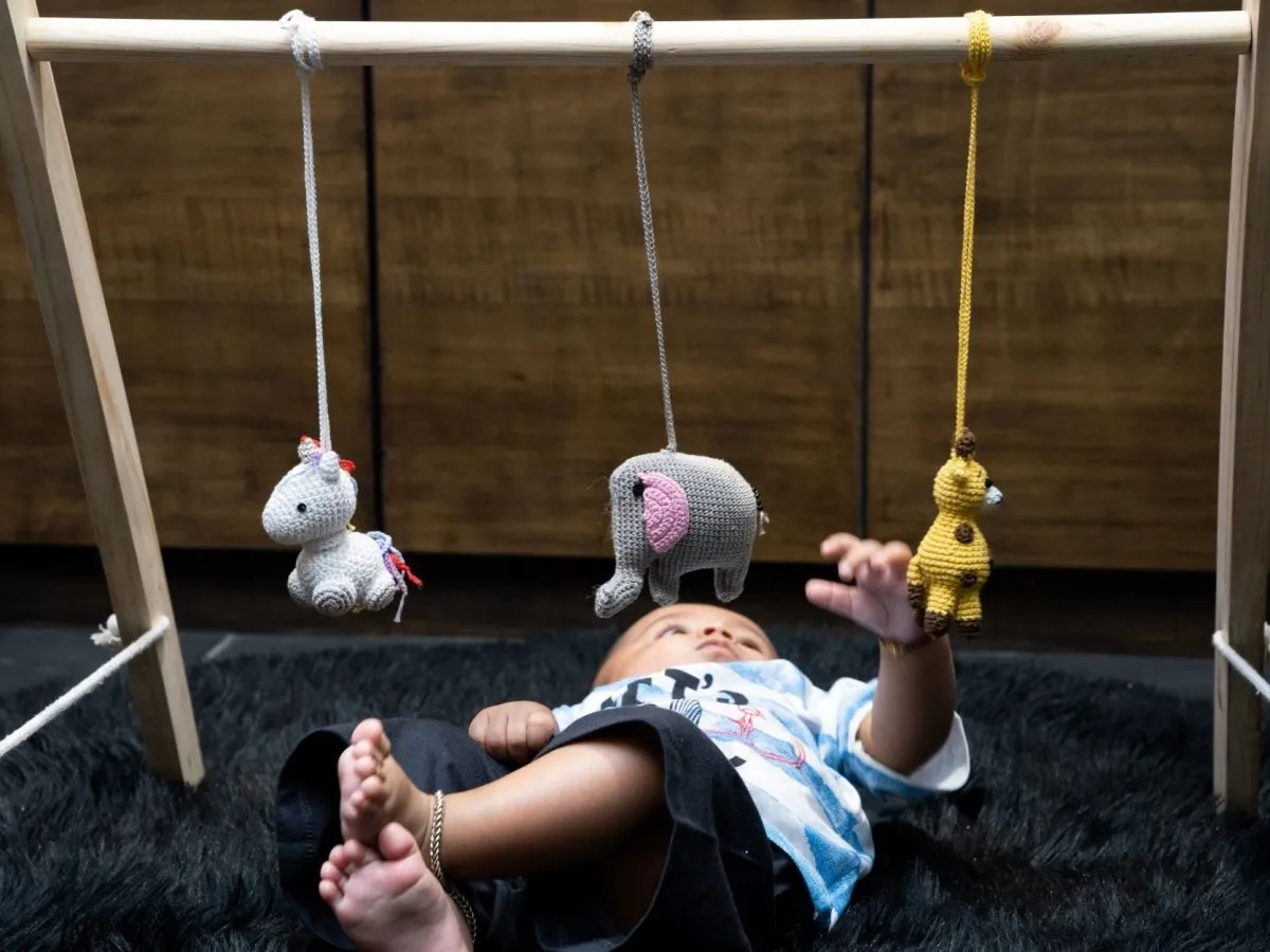 Rocking Potato Baby Activity Play Gym- Crochet Animals