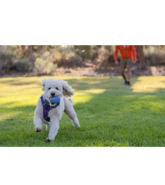 Ruffwear Huckama™ Interactive Rubber Throw Dog Toy (Heliotrope Purple)