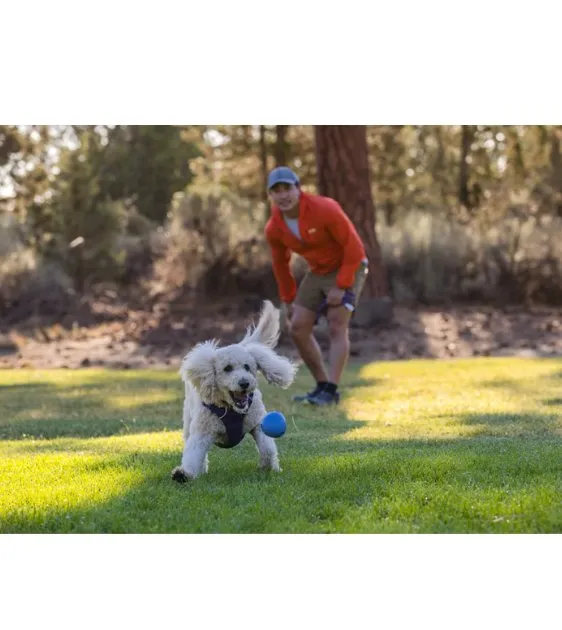 Ruffwear Huckama™ Interactive Rubber Throw Dog Toy (Heliotrope Purple)