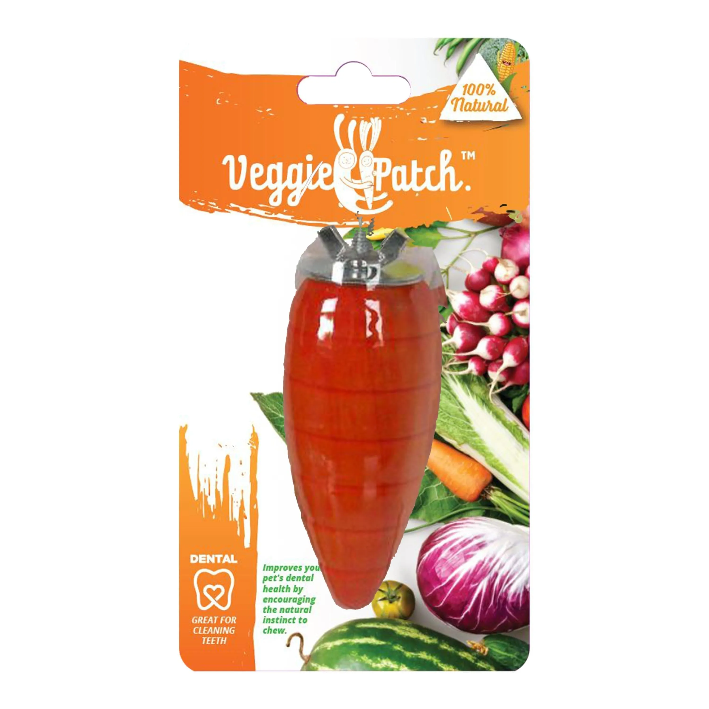 Veggie Patch Carrot to Gnaw Small Animal Treat