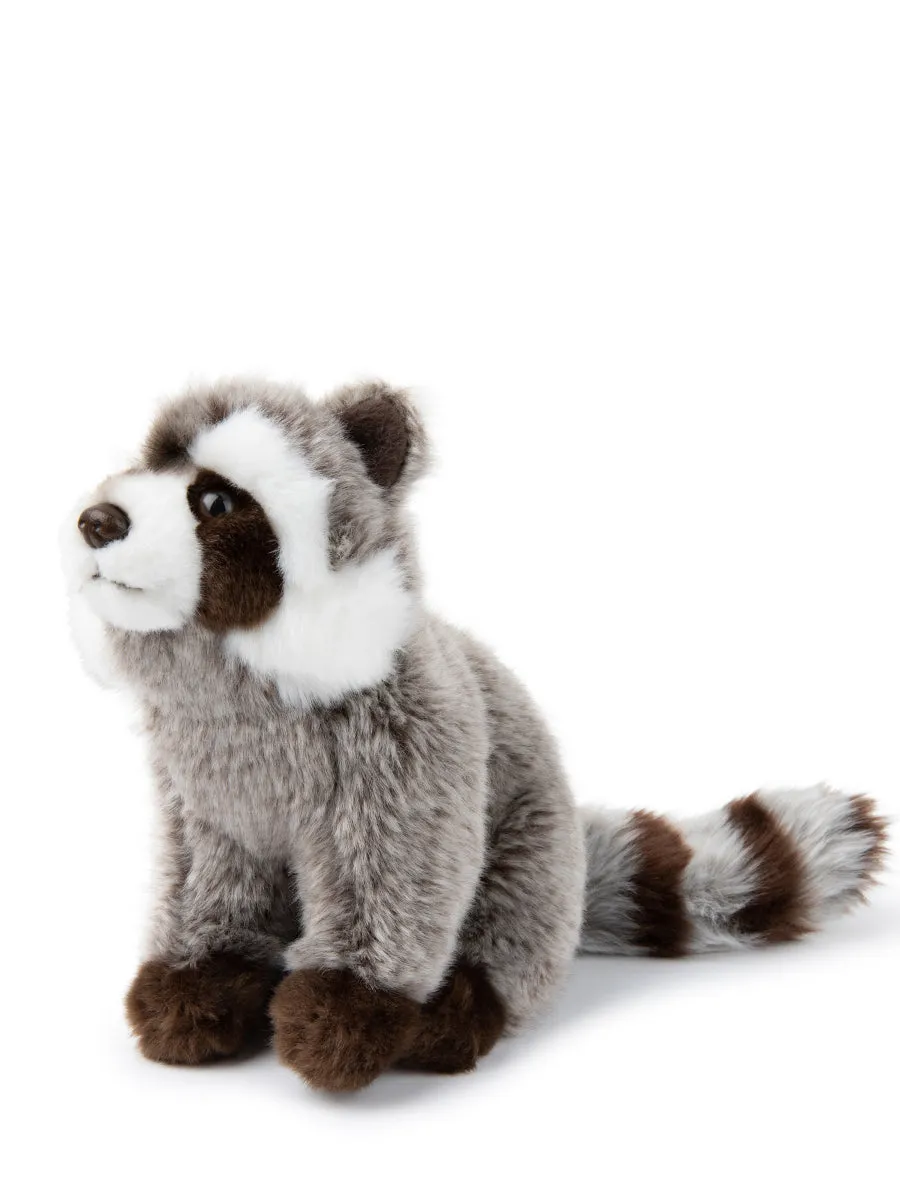 WWF Raccoon